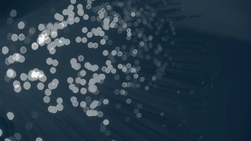 Extremos de fibra óptica encendidos, desenfocados
