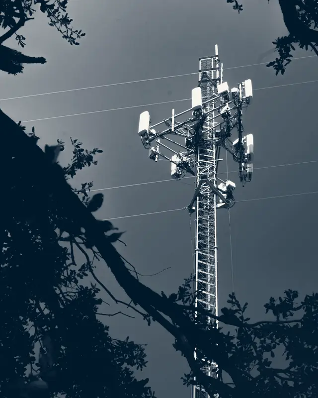 Torre de telefonía móvil con antenas al anochecer, entre ramas de árboles